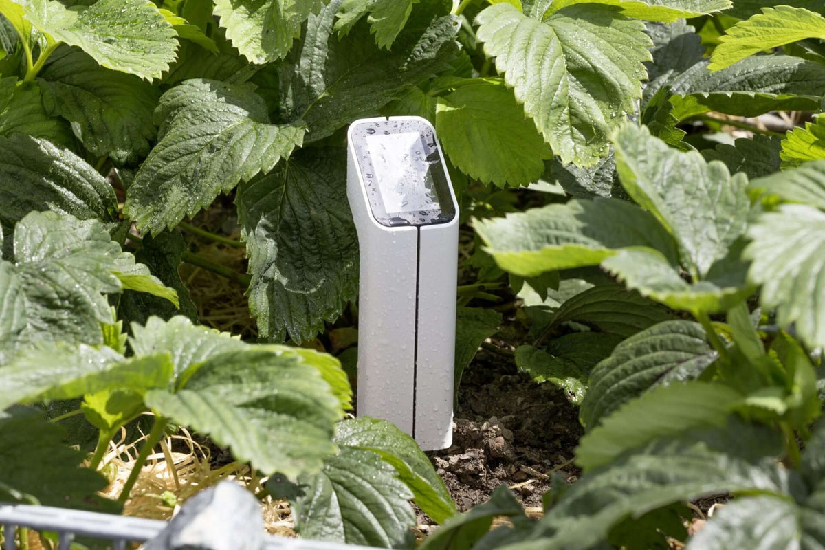 MIYO Bodenfeuchtesensor S2
